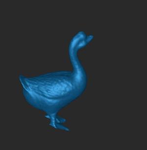 Realistic Goose