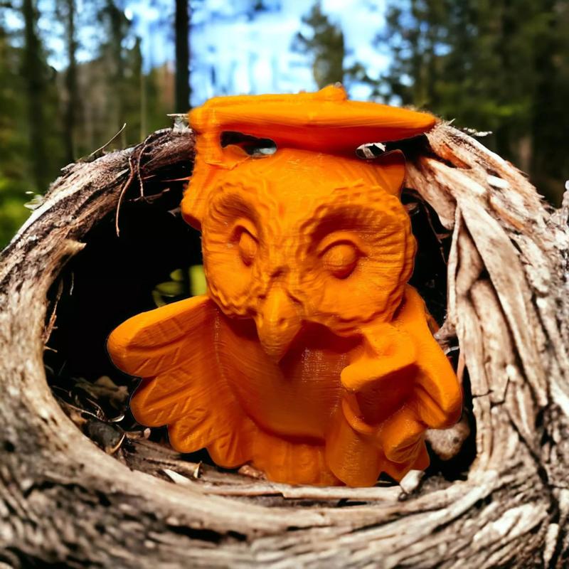 Owl diploma 3D print