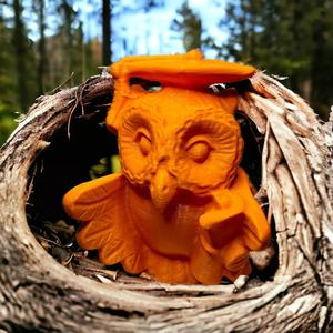 Owl diploma 3D print
