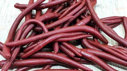 Printable earthworm mold