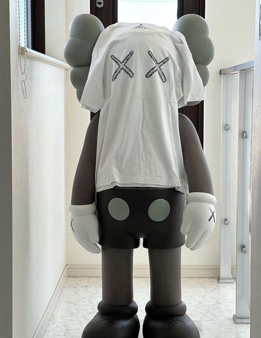 Kaws x Uniqlo Companion Fan Art Toy