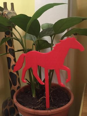 Animal guardians