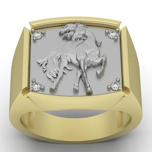 Horse ring
