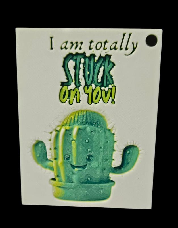 Valentine: I am totally Stuck On You Cactus