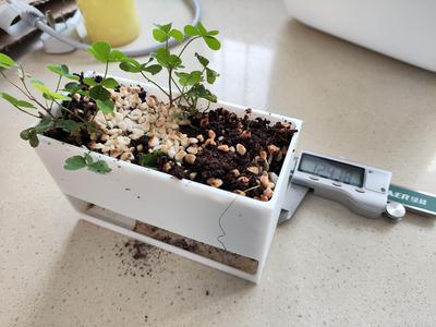 Minimalist rectangle flower pot