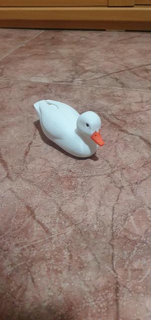 pato mano larga