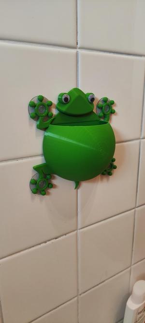 Frog-Lizard