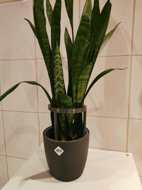 Modularer Pflanzensupport / Modular plant support / plant trellies