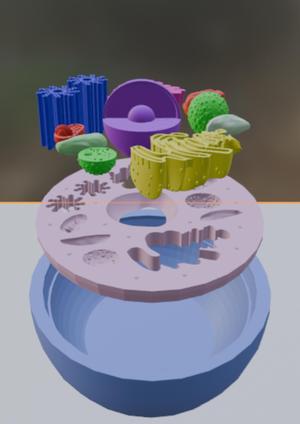 Célula Eucariota Animal