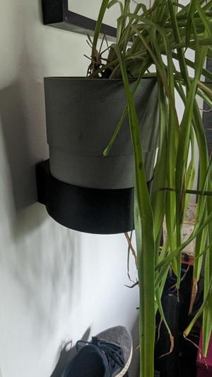 Blumentopf Halter