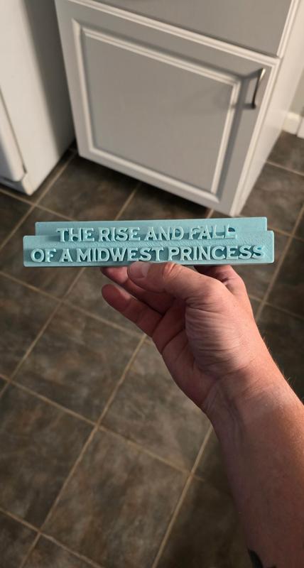 Chappelle Roan The Rise and Fall of a Midwest Princess Vinyl Record Wall Display