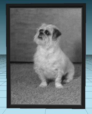 My Ugly Dog Lithophane