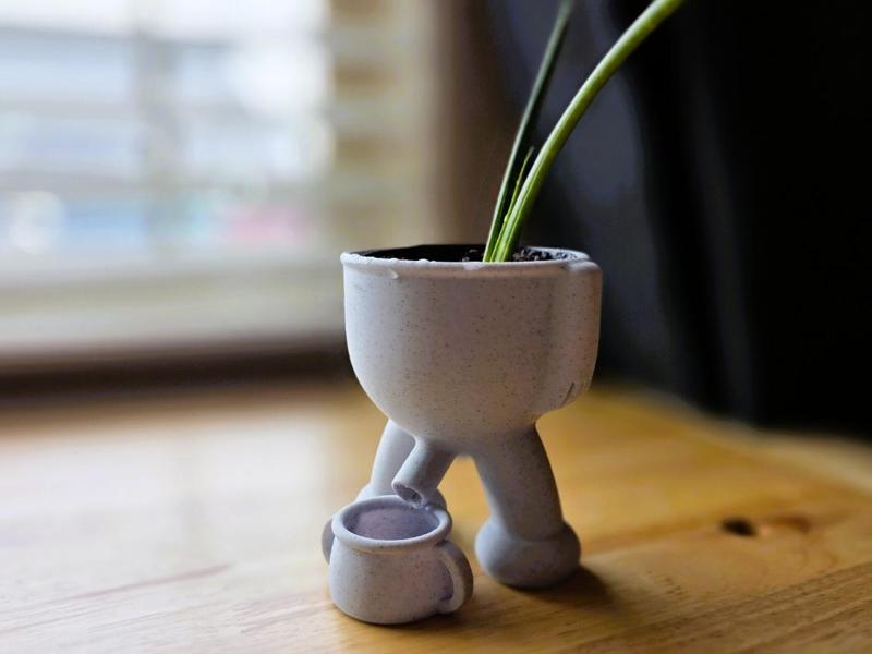 Plant Vase with Drain Pot