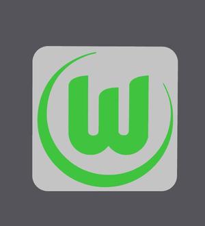 Soccer coaster Wolfsburg