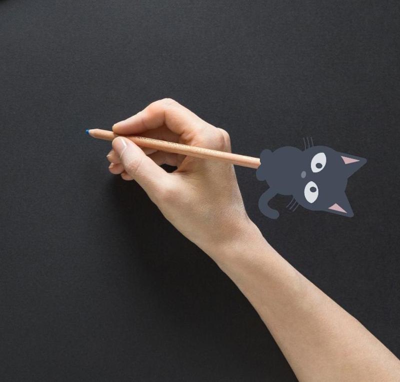 CAT / HOME / PET / ANIMAL / GIFT / PEN / PENCIL / TOPPER / SCHOOL / STUDENTS / TEACHER