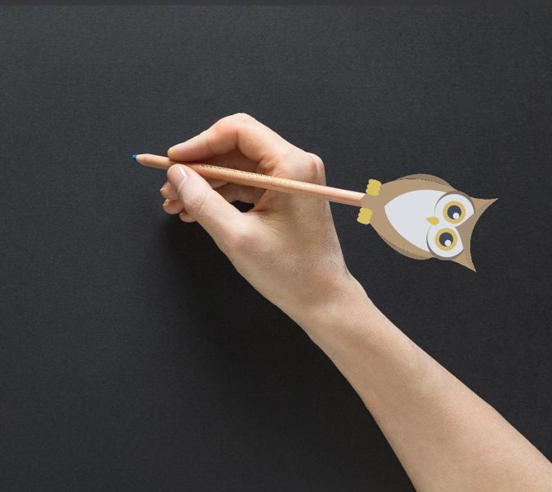 OWL / BIRD / ANIMAL / NATURE / PENCIL / PENCIL / TOPPER / SCHOOL / STUDENTS / TEACHER