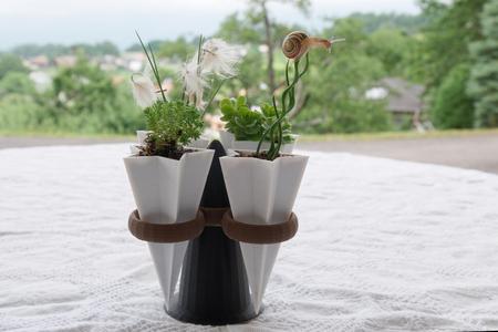 Star Trek Planter Contest Myminifactory & Tinkercad