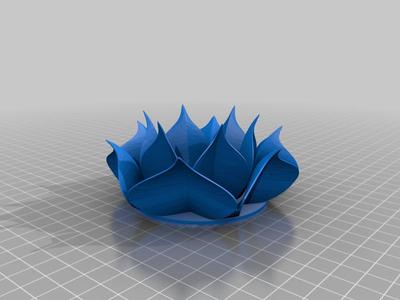 flor lotus davi