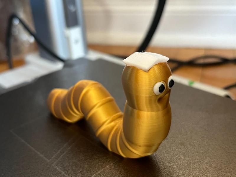 Bookworm - Worm with book on it's head