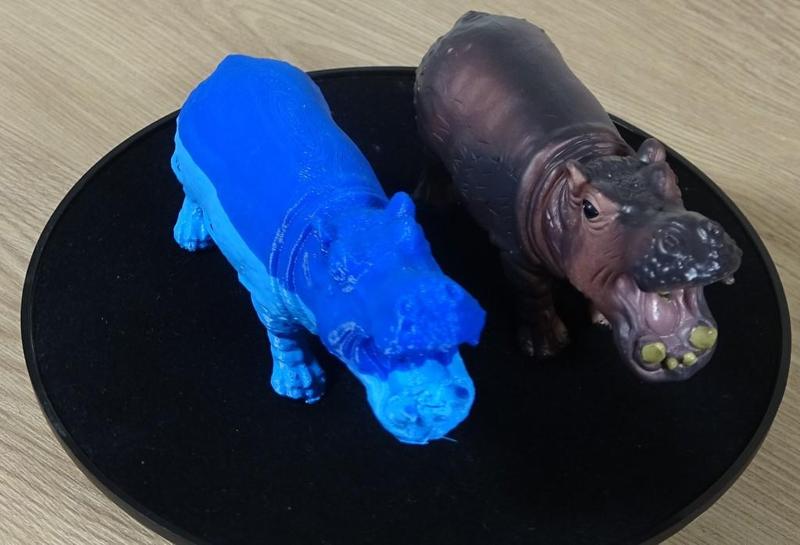 3D Printable Hippo - Hippopotamus STL File