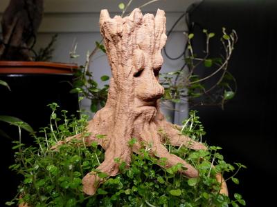 Old Tree Spirit