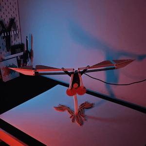 Ornithopter Flapping Mechanisms
