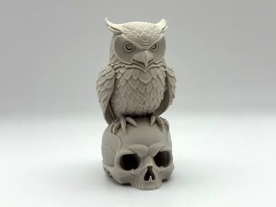 Owl on Skull