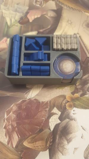 darwin´s journey base game insert/inlay/organizer