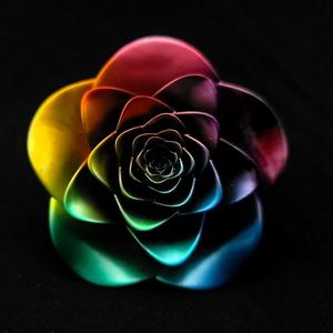 Pride Flower