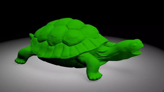 Tortois