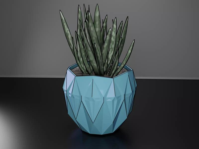succulent pot planter
