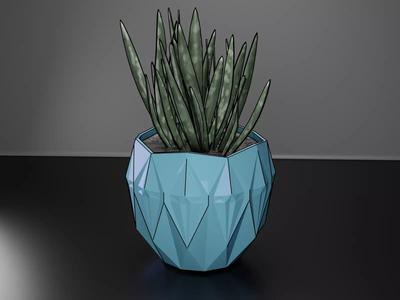 succulent pot planter