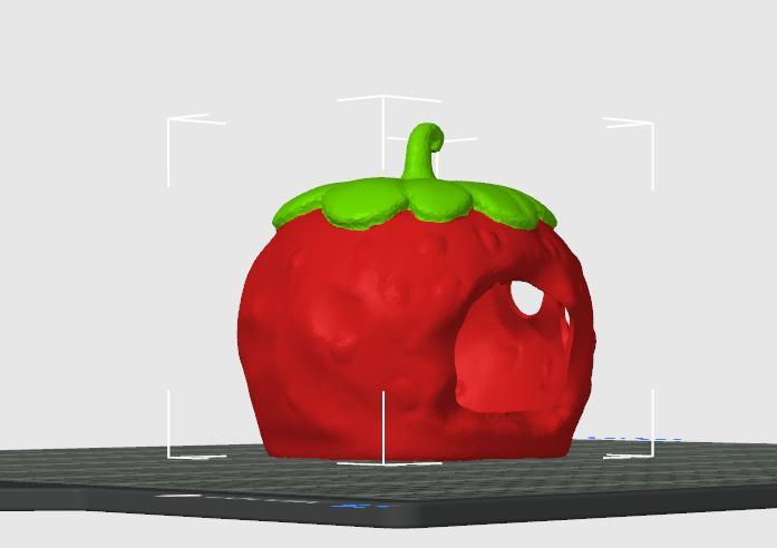 Hamster/Mouse Strawberry house
