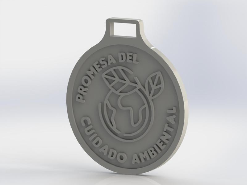 ENVIRONMENTAL MEDAL