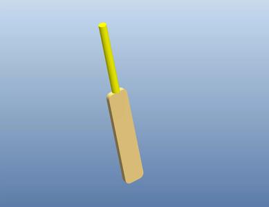 Cricket Bat