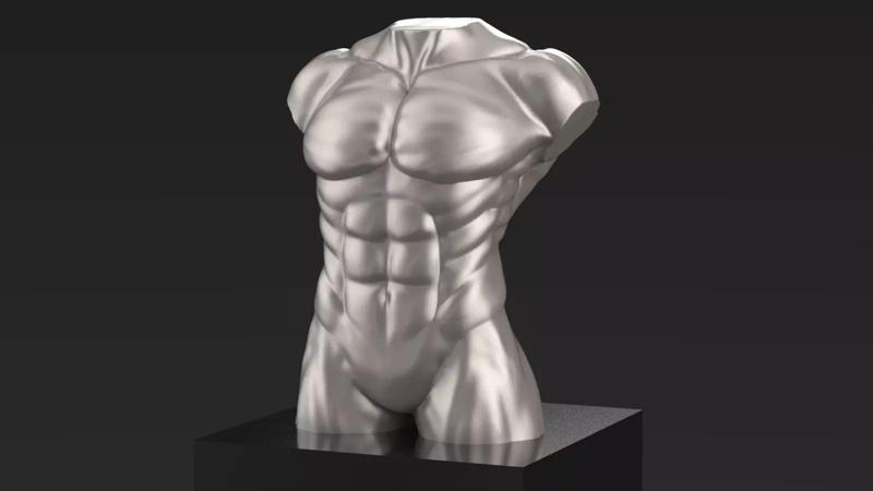 Male Body Torso STL for 3Dprint