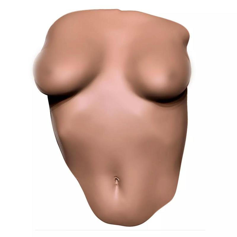 Female Torso Wall Deco