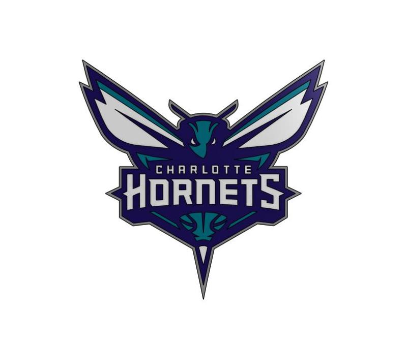Charlotte Hornets Logo