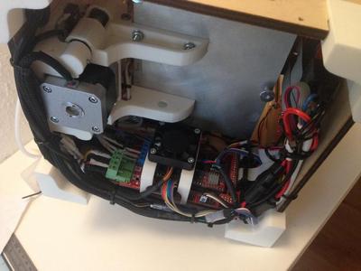 Tantillus (Ultius) bottom corners 1cm higher