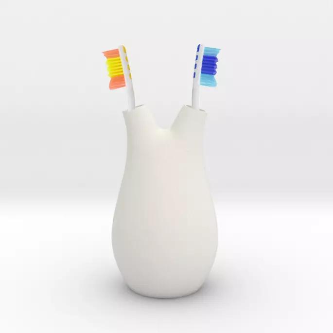 Toothbrush Holder for Two