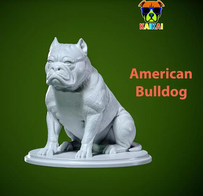 American Bulldog Urban vibes decor