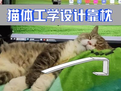 Cat ergonomic design bolster riser, cat pillow