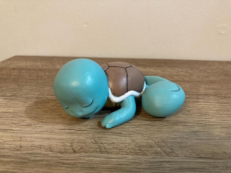 Sleepy Squirtle