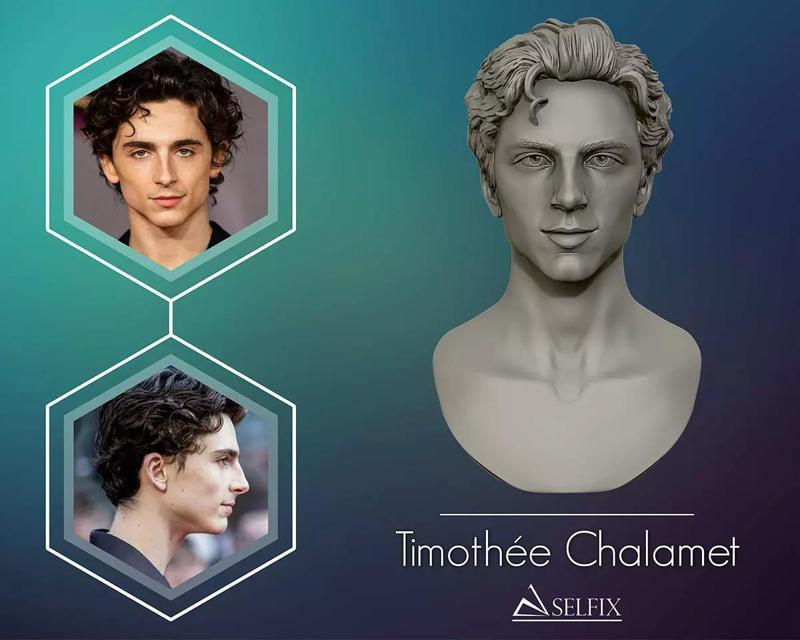 Timothee Chalamet bust sculpture