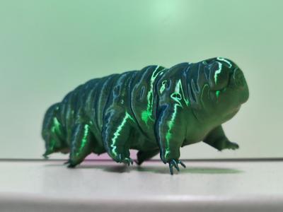 Highly Detailed Tardigrade – Water Bear Model