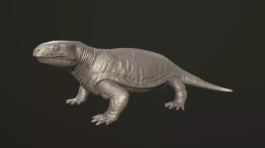 Diadectes sideropelicus