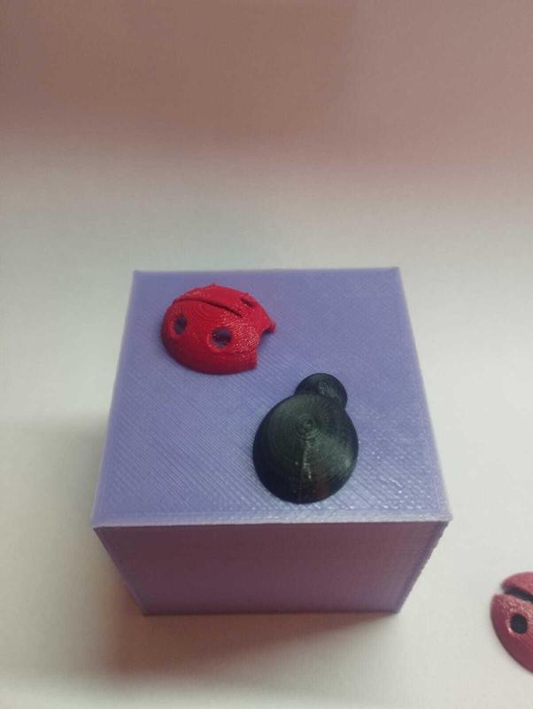 Vaquita de San Antonio - Mariquita