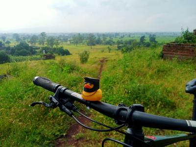 mini duckling helmet