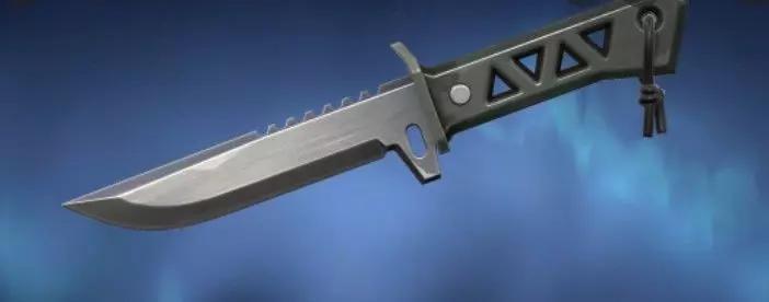 VALORANT xenohunter knife