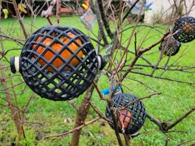 Fruit Cage